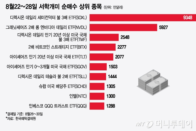 8월22~28일 서학개미 순매수 상위 종목/그래픽=윤선정