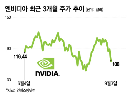 애널리스트들은 낙관하는데…엔비디아 주가 급락 2가지 이유[오미주]