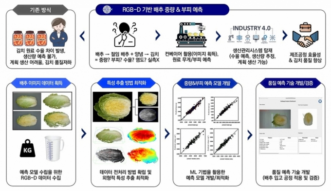 배추의 중량 및 부피 예측 모델 /사진=세계김치연구소