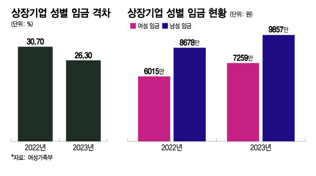 상장기업 성별 임금 격차, 상장기업 성별 임금 현황/그래픽=이지혜