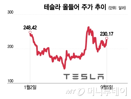 테슬라 올들어 주가 추이/그래픽=이지혜