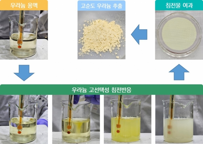 우라늄 고선택성 침전반응을 설명한 자료 /사진=한국원자력연구원