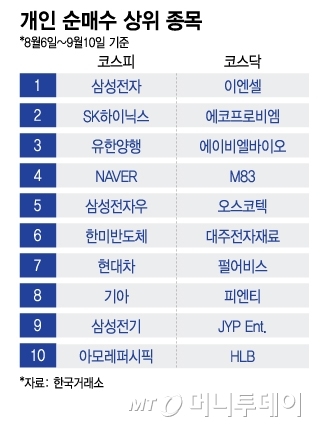 개인 순매수 상위 종목/그래픽=이지혜