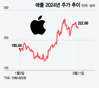 애플 2024년 주가 추이. /그래픽=윤선정 기자.