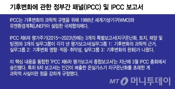 기후변화에 관한 정부간 패널(IPCC) 및 IPCC 보고서/그래픽=이지혜