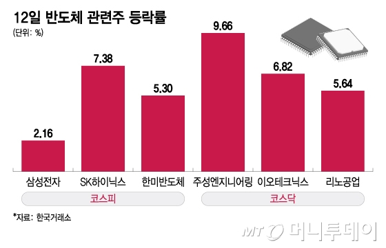 12일 반도체 관련주 등락률/그래픽=이지혜 디자인 기자