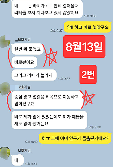 라떼가 다친 경위에 대해 묻자, 임보하러 데려간 박수민씨는, 처음엔 "한 번 콱 물었고 바로 놓았다"고 얘기했었다./사진=라떼 구조자 김유정씨 