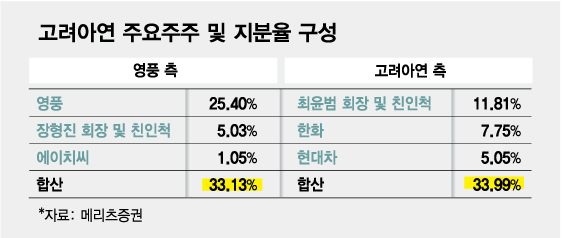 고려아연 주요주주 및 지분율 구성/그래픽=김다나