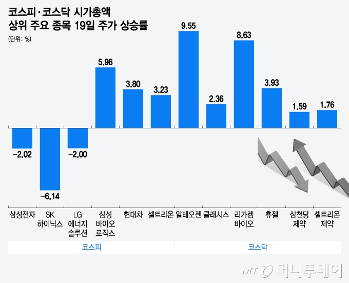 코스피·코스닥 시가총액 상위 주요 종목 19일 주가 상승률/그래픽=윤선정