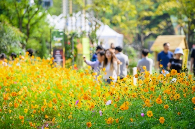 고양가을꽃축제 지난해 모습./사진제공=고양시