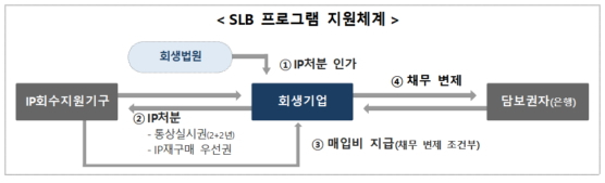 SLB 프로그램 지원체계./사진제공=특허청