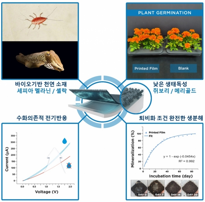 KAIST 연구팀이 저독성으로 자연에서 97% 생분해되는 인쇄 필름을 개발했다. /사진=KAIST