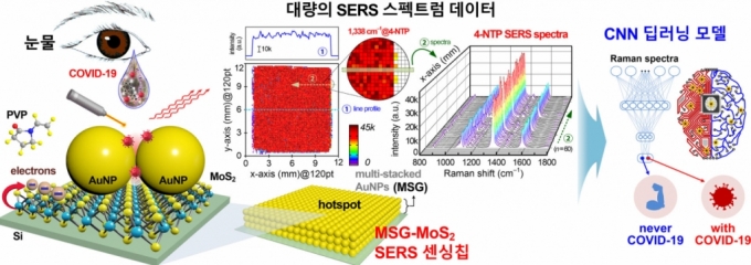 딥러닝 기반의 라만산란 기술을 활용한 바이오센서 플랫폼 설명 자료./사진=강북삼성병원