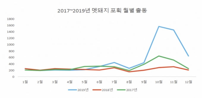 "멧돼지 수십마리 출몰" 재난문자…조용했던 시골마을 '발칵'