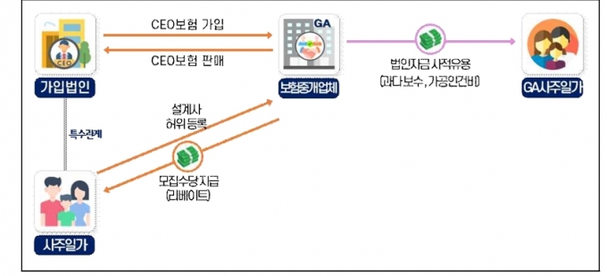 CEO보험 가입법인의 CEO 가족에게 리베이트를 제공한 보험중개업체 사례/사진제공=국세청 