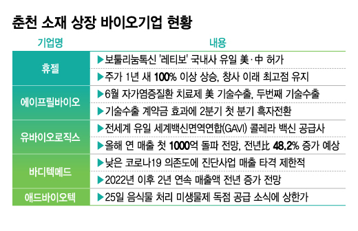 '작지만 강한' 춘천 바이오, 성과 릴레이에 존재감 쑥쑥