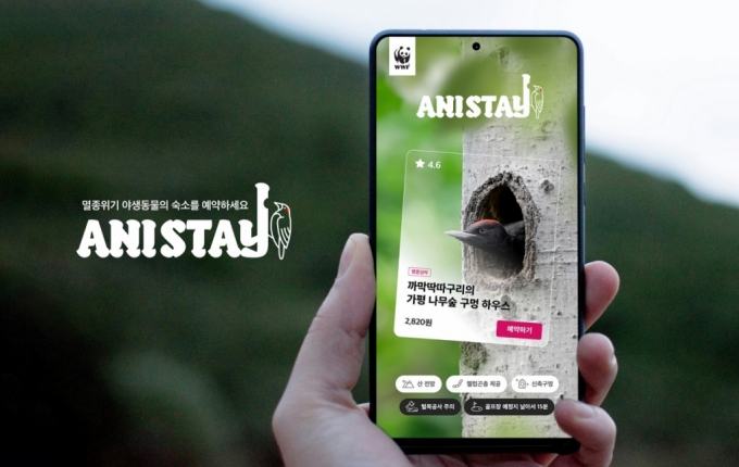 애니스테이(ANISTAY) 캠페인 이미지. /사진=제일기획