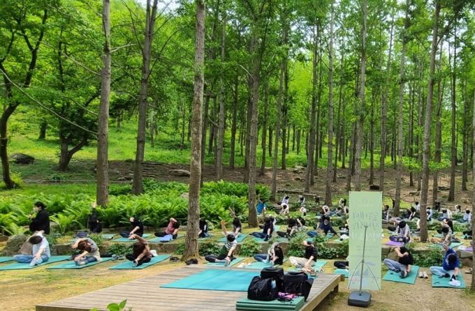 포레스트 캠프 은행나무숲에서 명상하는 모습/사진제공=삼성물산