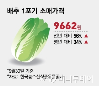 배추 1포기 소매가격/그래픽=임종철