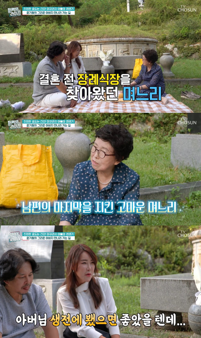 /사진=TV조선 '퍼펙트 라이프' 방송 화면