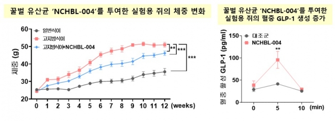 사진제공=노드큐어