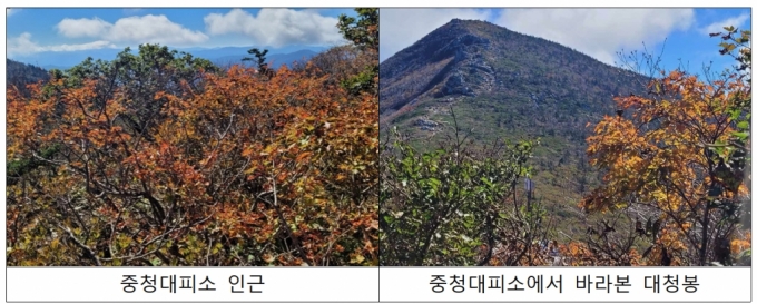 4일 설악산에 단풍이 든 모습. /사진=기상청