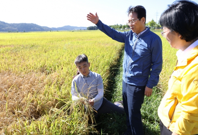 강진원 강진군수(가운데)가 벼멸구 확산 현장을 점검하고 있다. /사진제공=강진군