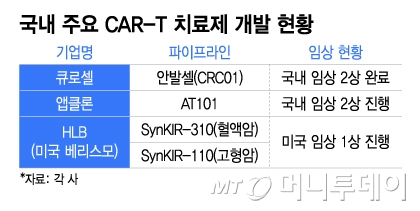 국내 주요 CAR-T 치료제 개발 현황. /그래픽=이지혜 디자인기자