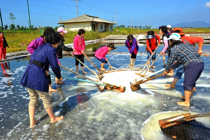 고창 만돌마을 염전체험./사진=한국어촌어항공단 제공