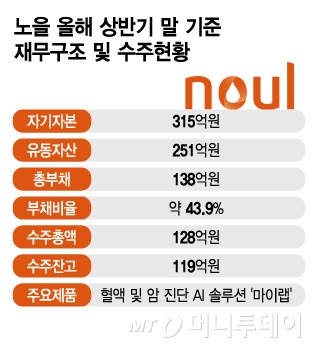 노을 올해 상반기 말 기준 재무구조 및 수주현황/그래픽=김지영