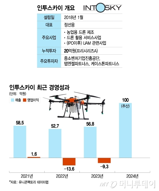 인투스카이 개요 및 경영성과/그래픽=이지혜