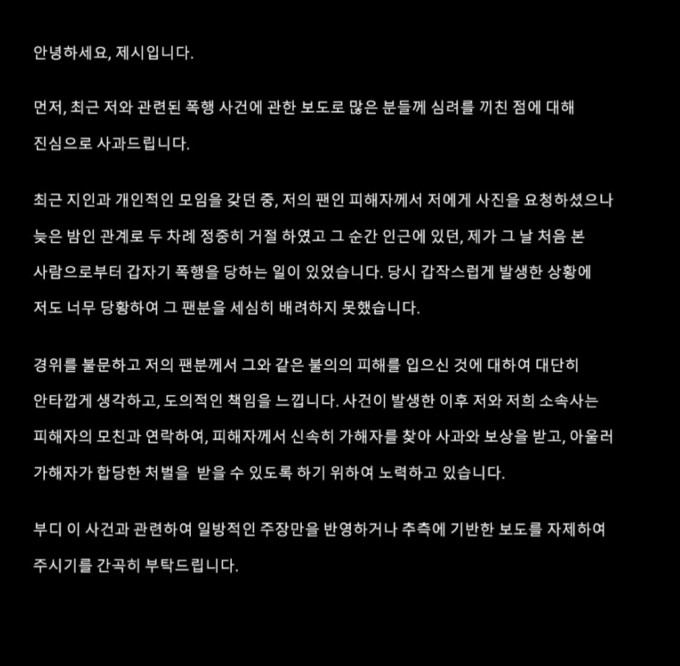 12일 가수 제시가 팬이 폭행당한 사건과 관련한 입장문을 냈다./사진=제시 인스타그램 갈무리