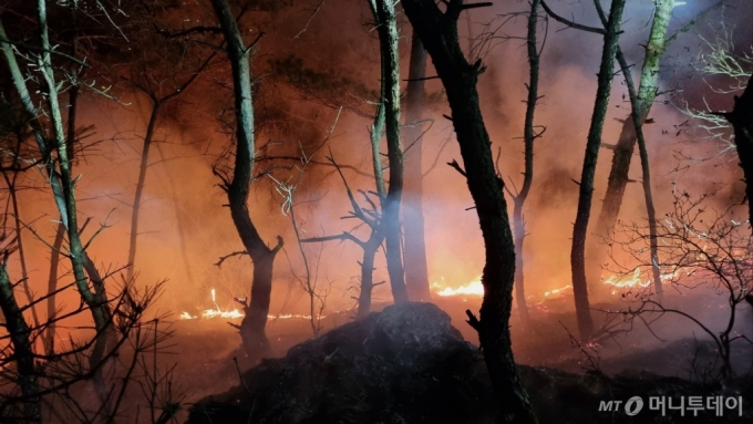 기사 내용과는 직접 관련 없는 산불 사진 /사진=뉴스1