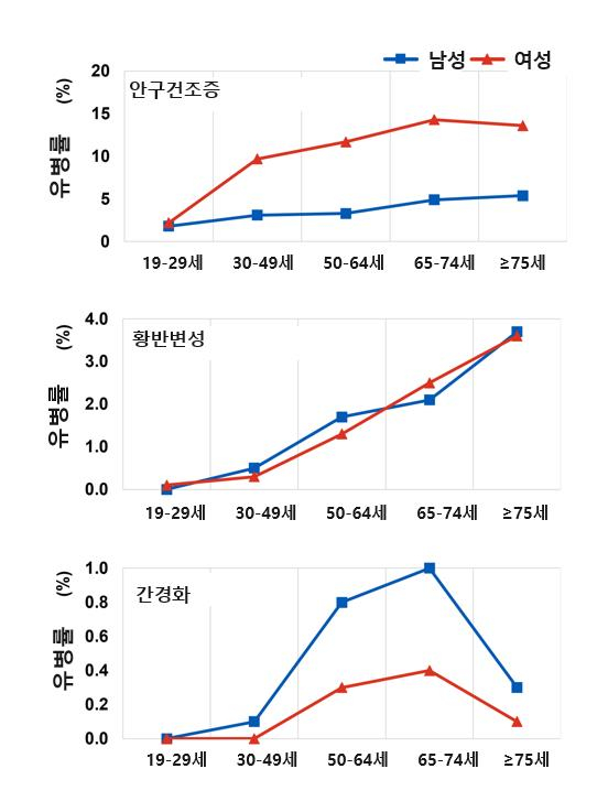 우리나라에서 황반변성은 나이가 들수록 남녀 모두 발병률이 높아지지만 안구건조증은 여성에서, 간경화는 남성에서 더 많이 발병한다. 나이·성별에 따라 우선적으로 챙겨먹어야 하는 영양소가 다를 수 있다는 분석이다. /자료= '생애주기별 접근법을 통한 정밀영양: 서술적 문헌 고찰' 논문