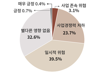 지정학적 리스크가 기업경영에 미치는 영향/사진제공=대한상공회의소