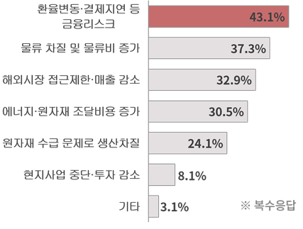 지정학적 리스크 피해 유형  /사진제공=대한상공회의소