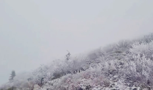 20일 설악산국립공원사무소에 따르면 전날 오후 7시 30분부터 중청대피소에서 첫눈이 관측됐다. [사진출처=설악산국립공원사무소 SNS 영상 캡처]