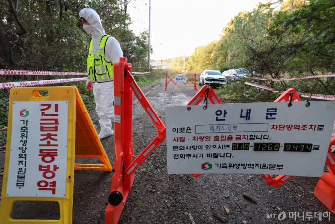 바이러스성 질병인 '럼피스킨병'(Lumpy Skin Disease)' 확진 사례가 나온 지역 축산농가가 출입통제되고 있다.기사내용과 무관./사진=뉴스1 /사진=(김포=뉴스1) 김도우 기자