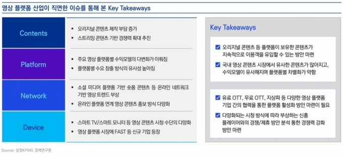 영상 플랫폼 산업이 직면한 이슈를 통해 본 주요 시사점 /사진=삼정KPMG