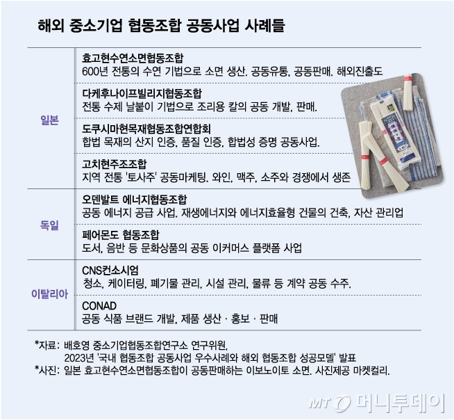 해외 중소기업 협동조합 공동사업 사례들/그래픽=김다나