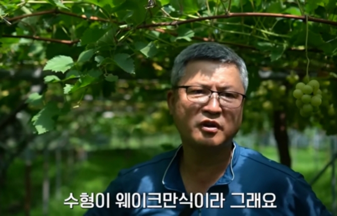 강혜원 대표가 샤인머스켓 가격이 낮아진 배경엔 잘못된 재배 방식이 있다고 주장했다./사진=유튜브 '귀농스쿨' 갈무리