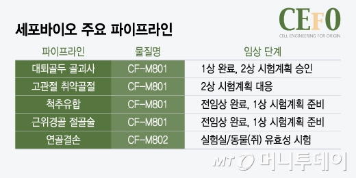 세포바이오 주요 파이프라인/그래픽=윤선정