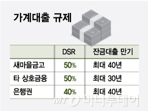 가계대출 규제/그래픽=최헌정