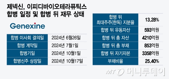 제넥신, 이피디바이오테라퓨틱스 합병 일정 및 합병 뒤 재무 상태/그래픽=윤선정