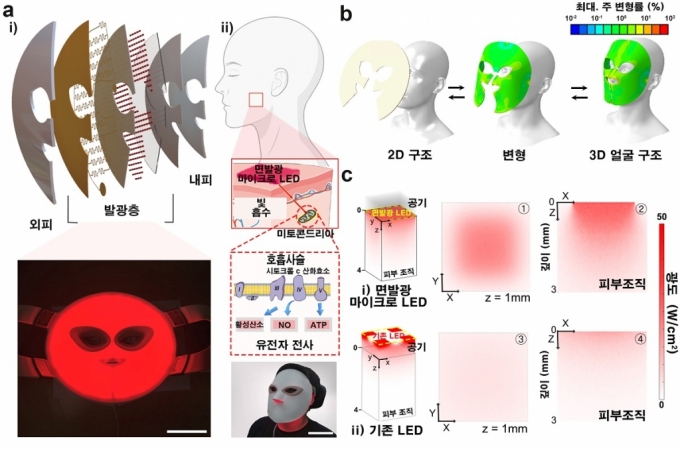 KAIST 연구팀이 개발한 LED 마스크의 효과를 나타낸 그림 /사진= KAIST