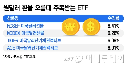 원달러 환율 오를때 주목받는 ETF/그래픽=김지영