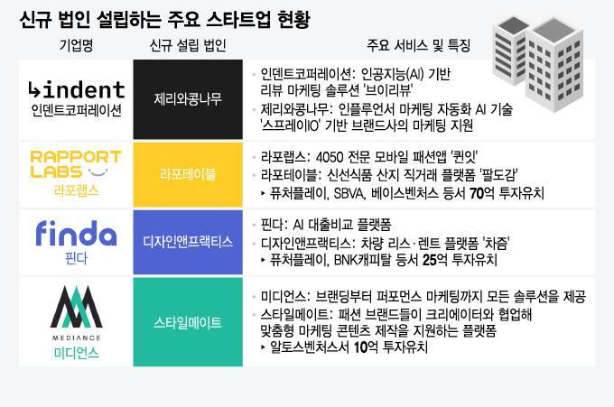 신규 법인 설립하는 주요 스타트업 현황/그래픽=윤선정