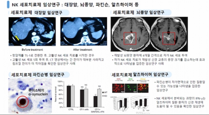 해당 업체가 홍보자료에 항암효과가 임상시험을 통해 검증된 것처럼 광고한 내용. /사진=서부지검