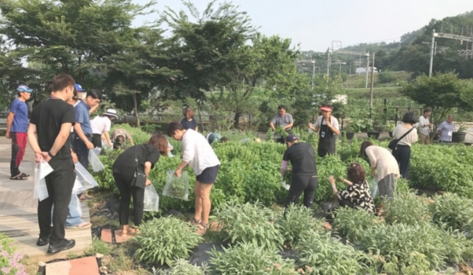 팜아트홀릭에서 참가자들이 귀농 체험을 하고 있다. /사진제공=팜아트홀릭