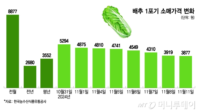 배추 1포기 소매가격 변화/그래픽=이지혜